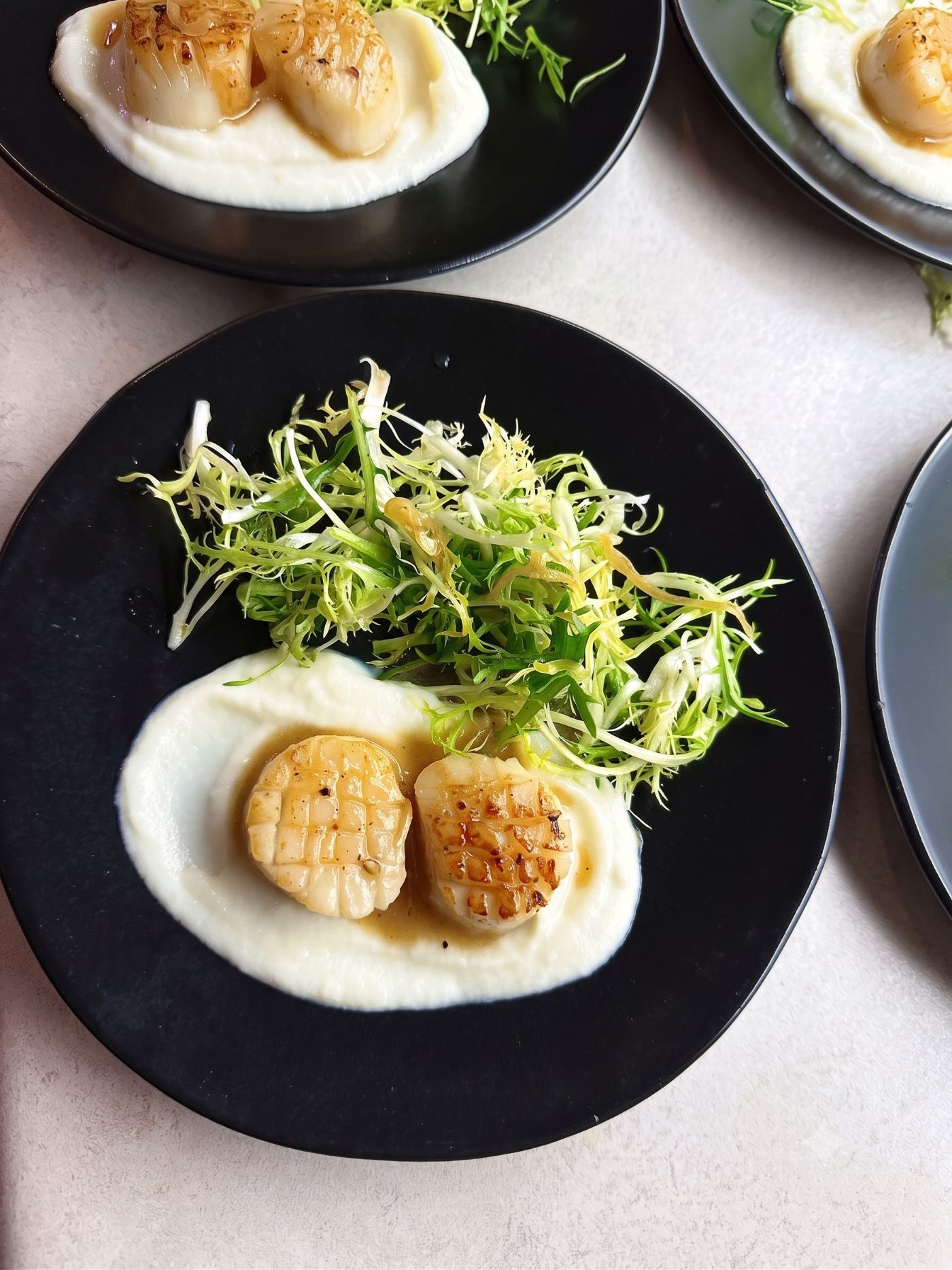 Seared scallops on celeriac puree